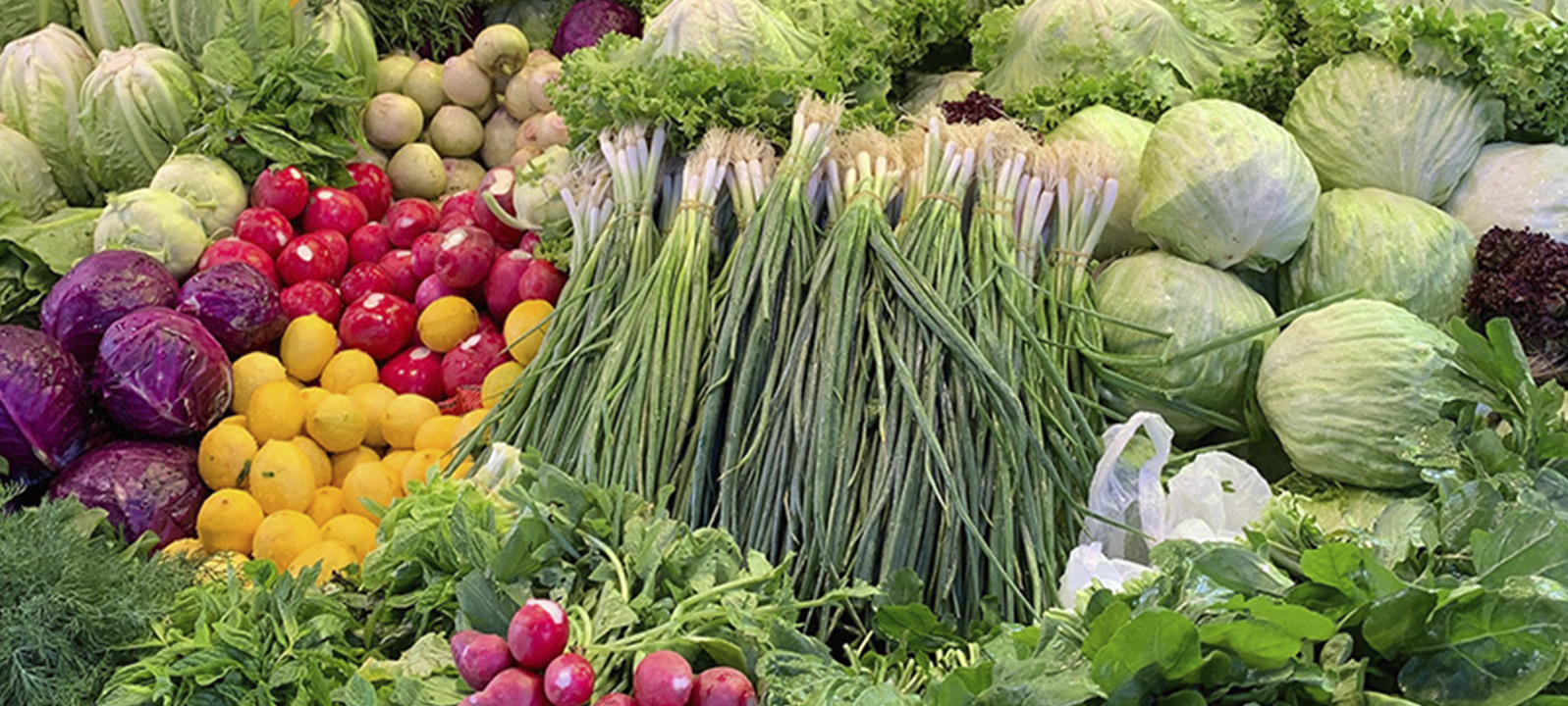 IFS FOOD – Seguridad Alimentaria