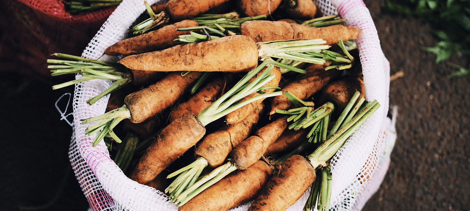 food waste